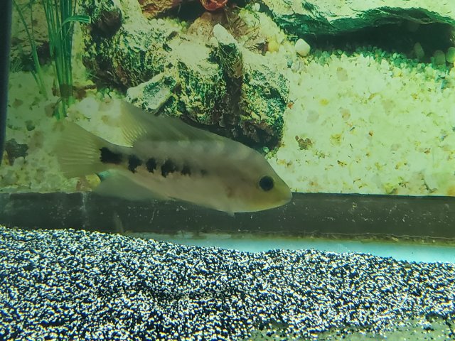20190711_165205.jpg