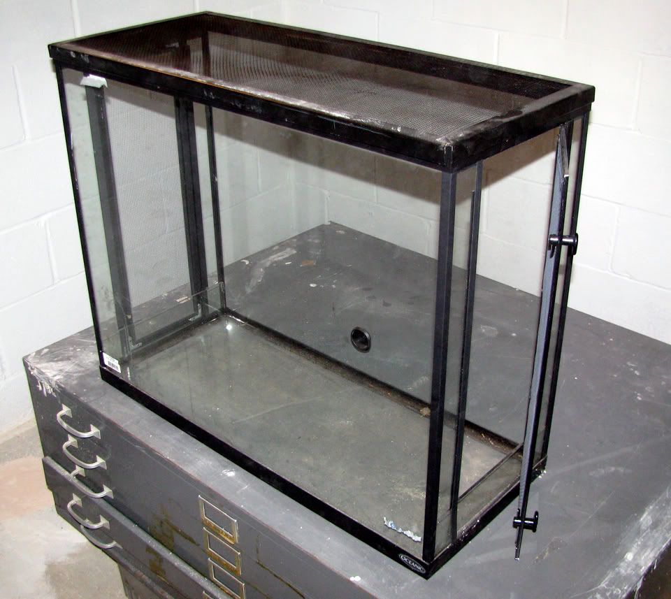 New Crested Gecko Tank Build | MonsterFishKeepers.com