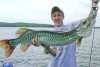 tigermuskie.jpg