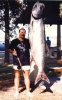 dan-tarpon.jpg