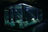 DSC05715.jpg