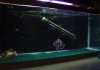 DSC05941.jpg