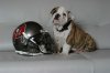 dozer and football.jpg