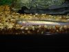 DSC00409.JPG