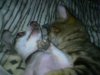Picture023.jpg