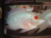 DSC06084.JPG