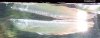 arowana.jpg