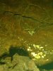 DSC02526.JPG