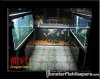 ultimate fish room.jpg