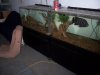 FishRoom.jpg