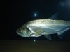 DSC01625.JPG