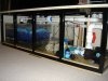 DSC01639.JPG