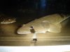 DSC01660.JPG