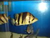 DSC01647.JPG