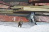100_1207.JPG
