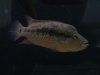 DSC04634.JPG