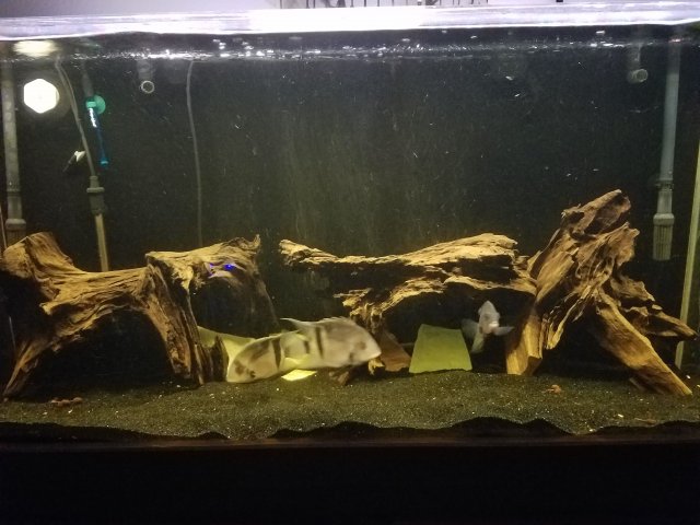 20170119_220143.jpg