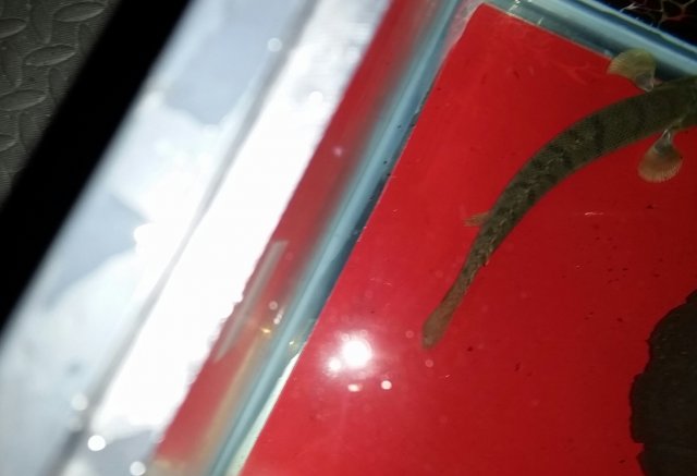 2017-01-25 18.41.54.jpg