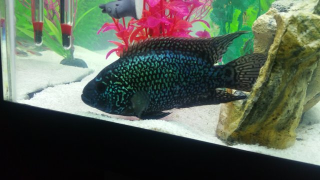 20170125_002430.jpg 20170125_002430.jpg