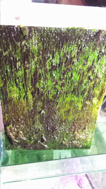 20160830_203310.jpg 20160830_203310.jpg