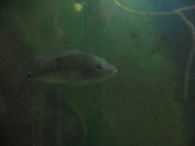 STK_2479.JPG