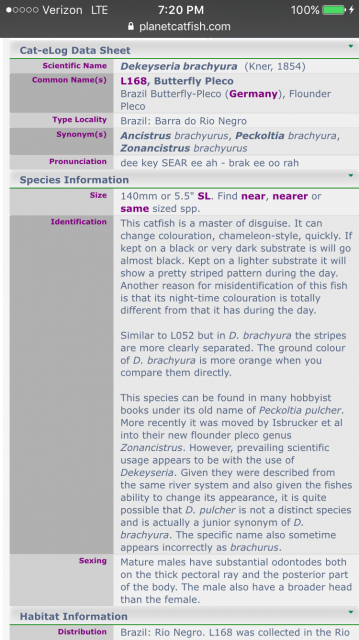IMG_7701.PNG