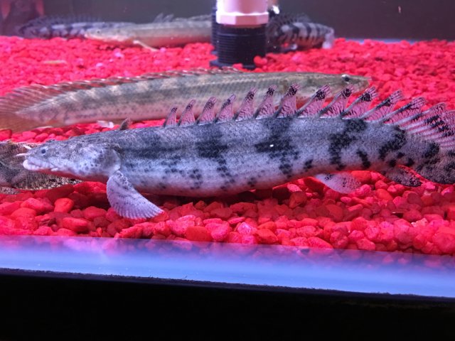 IMG_3757.JPG