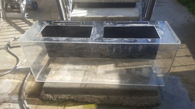 20170126_130011.jpg