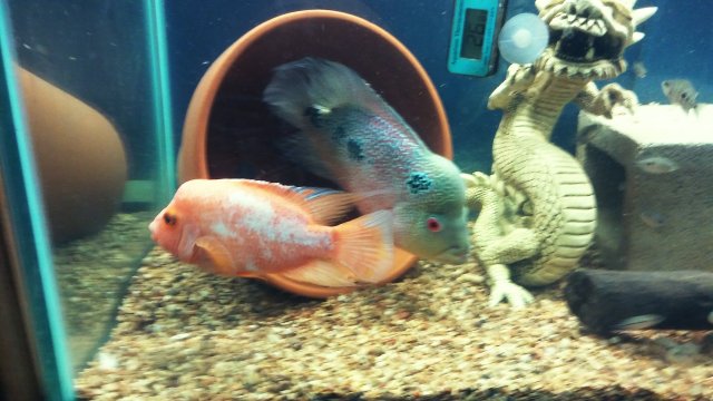 20161118_101630~2.jpg
