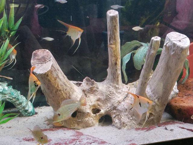 20170127_141032.jpg
