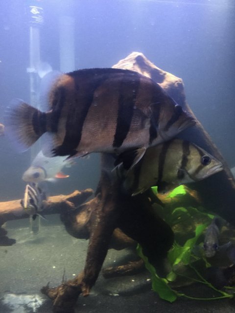 IMG_1069.JPG IMG_1069.JPG