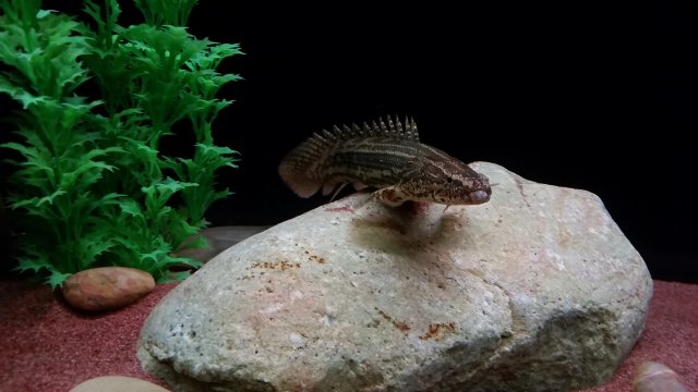 20170128_172451.jpg