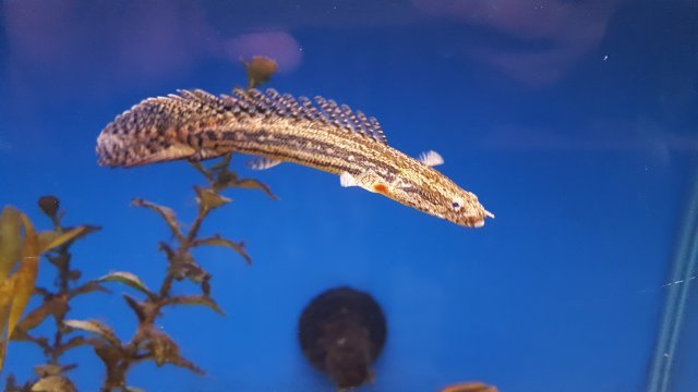 973655-b42dda95f9d18518fc5f7914b511ff72.jpg