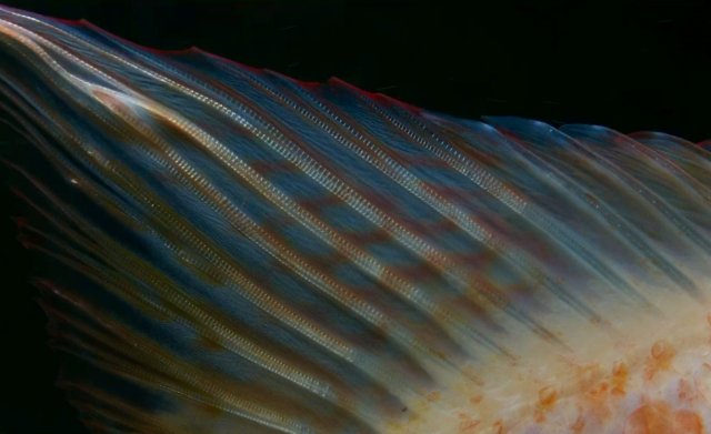 IMG_8442.jpg