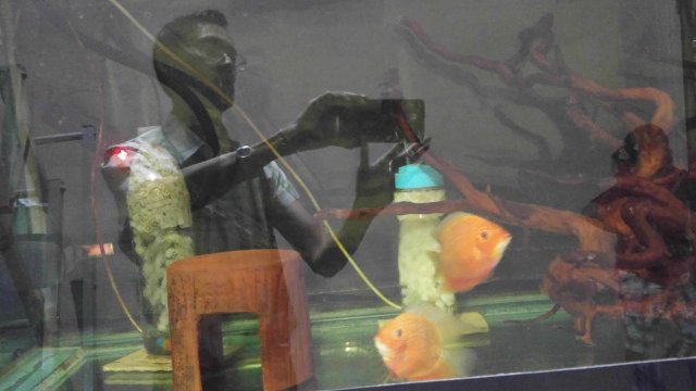 20161224_233524.jpg