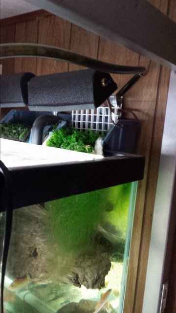 20170129_130506.jpg 20170129_130506.jpg