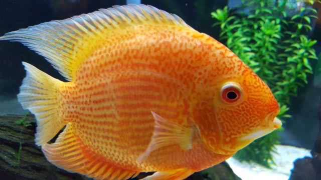 20160913_153215.jpg 20160913_153215.jpg