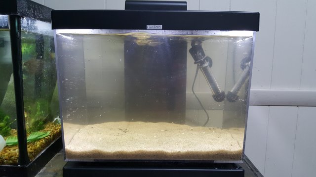 20170129_154245.jpg