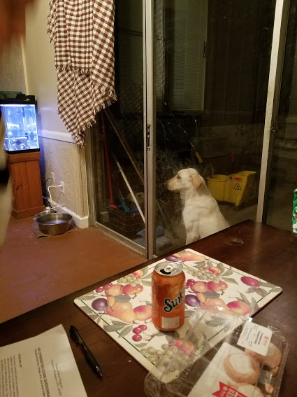 20170114_180955.jpg