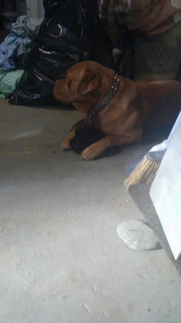 20170130_124347.jpg