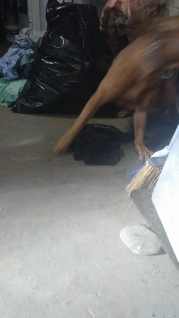 20170130_124357.jpg