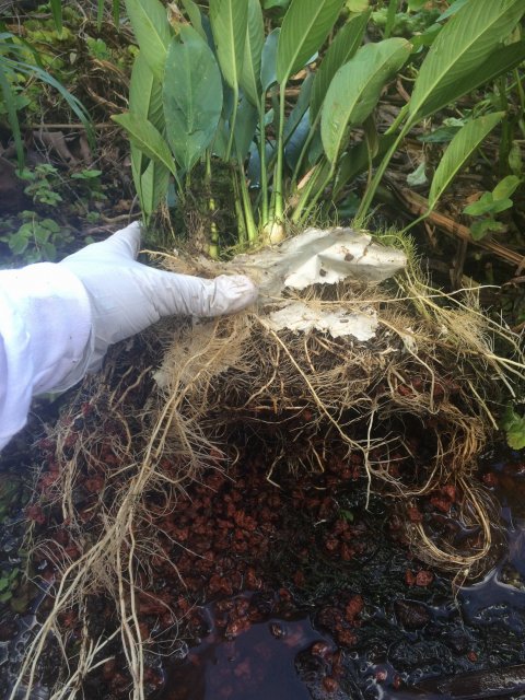 IMG_3970.JPG IMG_3970.JPG