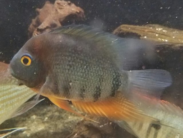 20170130_142204.jpg
