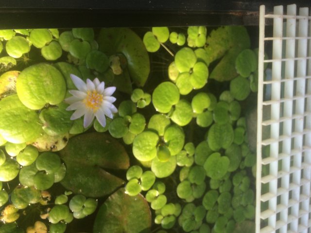 IMG_4204.JPG IMG_4204.JPG