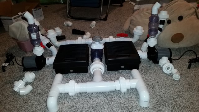 20170131_122346.jpg