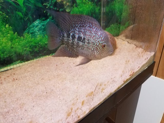 20170131_072903 (1).jpg