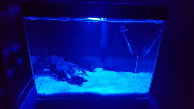 20170131_194425.jpg