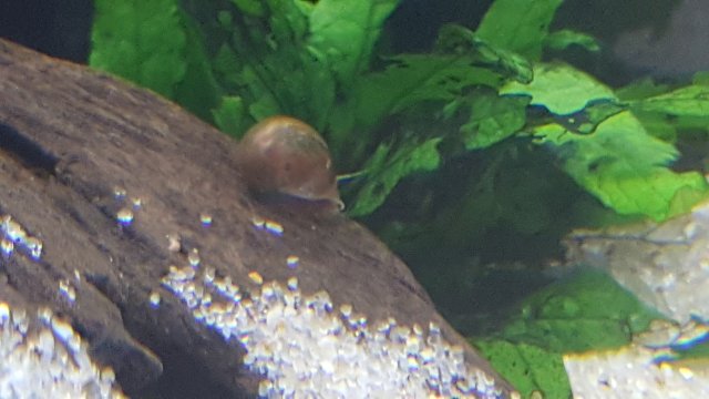 20170131_194610.jpg