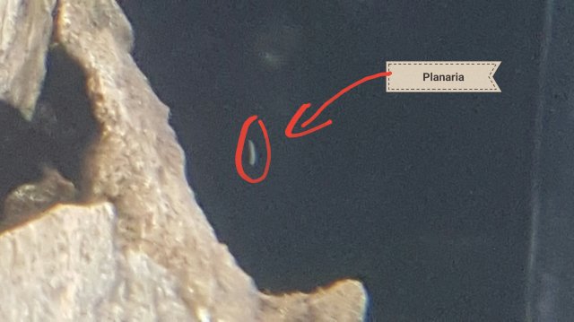 20170131_195531.jpg