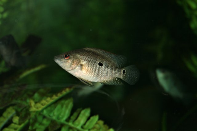 IMG_5700.JPG